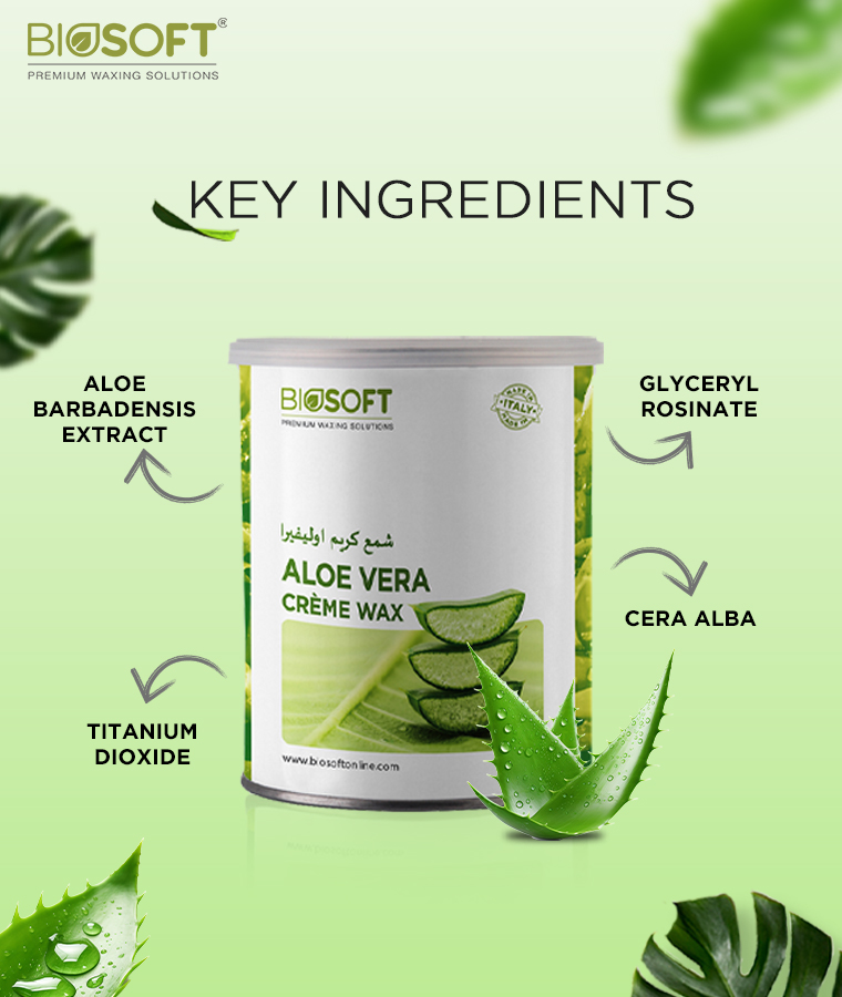 Aloe Vera Creme Wax Key Ingredients